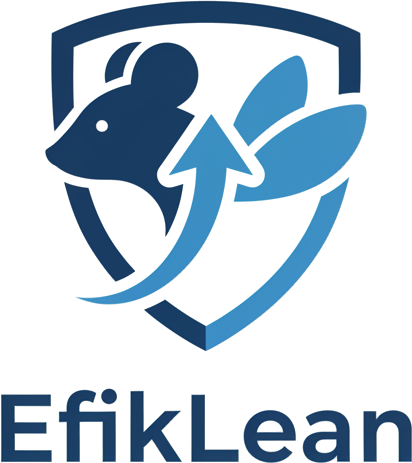 EfikLean Logo